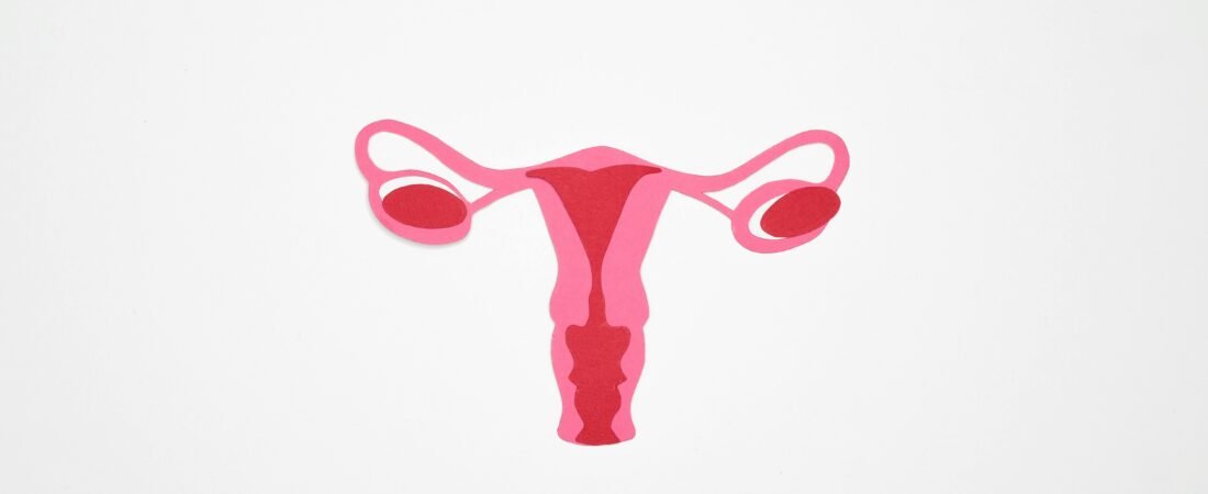 What Is a Period? Understanding the Menstrual Cycle and Your Body