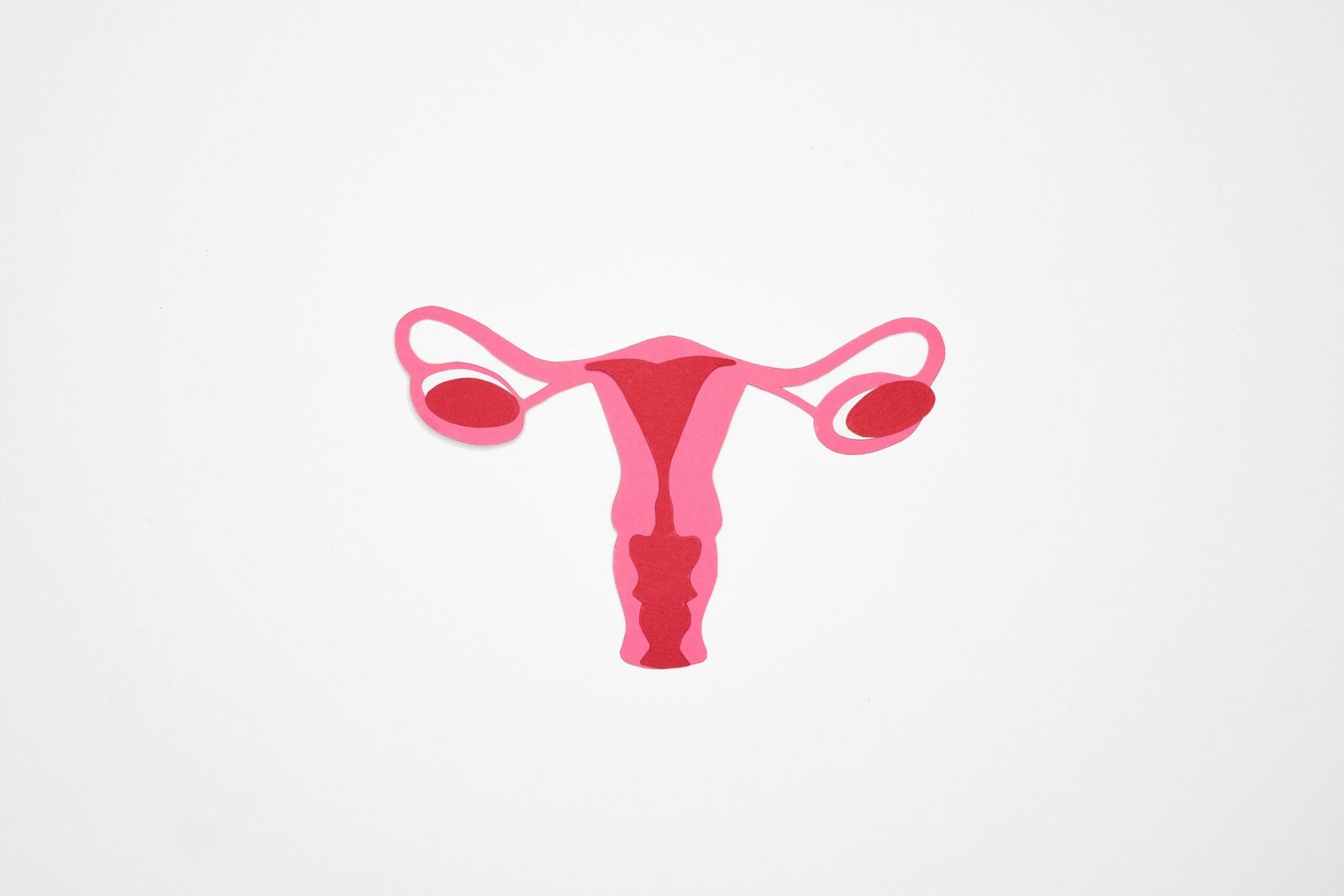 What Is a Period? Understanding the Menstrual Cycle and Your Body